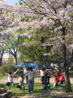 桜の下での演舞